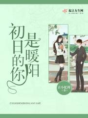 初日暖阳游戏