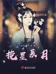 挽月星河是什么意思