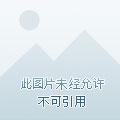王者巅峰第一一天多少钱