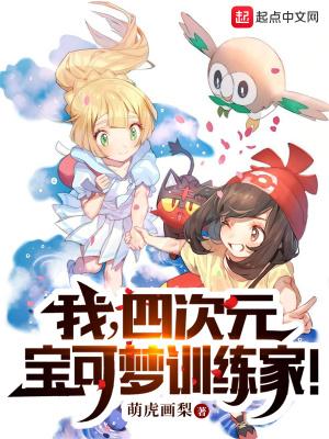 宝可梦4b